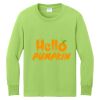 Youth Long Sleeve Core Cotton Tee Thumbnail